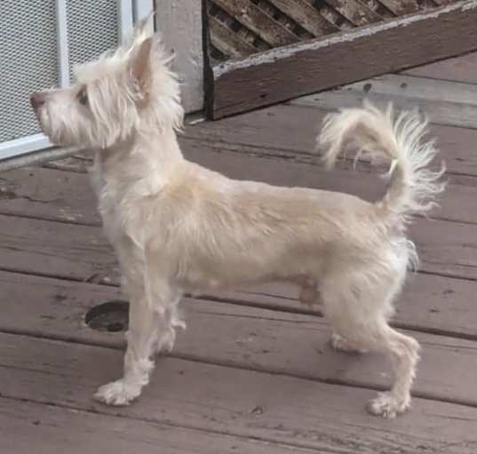 Photo of Zeus