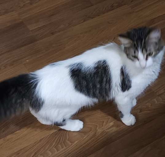 Photo of LILLY