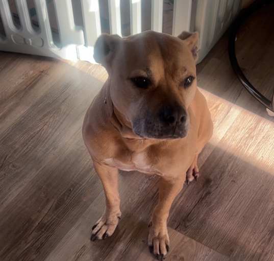Photo of Addie