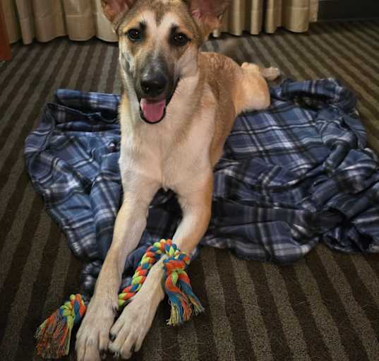 Photo of Lily