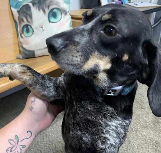 Photo of Jugghead