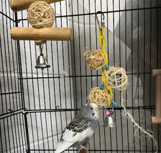 Photo of SPRINKLES