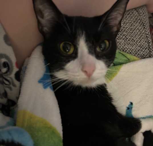 Photo of Penelope