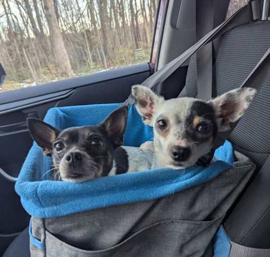 Photo of Peppermint Patty and Sally