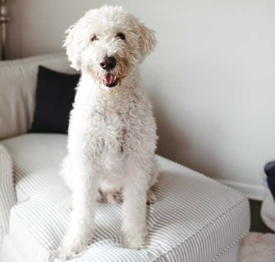 Photo of Hunter