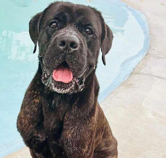 Photo of Zeus