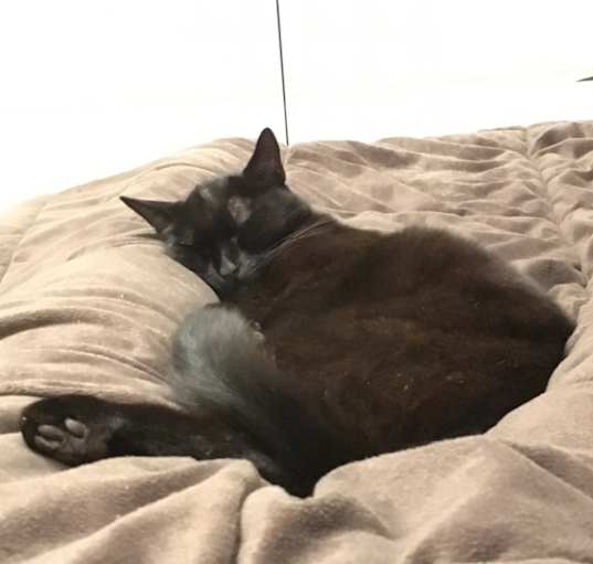 Photo of Buster
