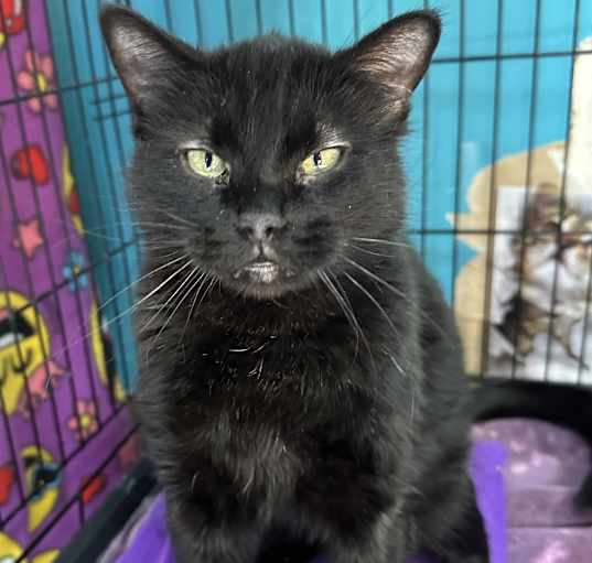 Photo of Mildred