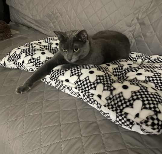 Photo of Lizzie and her brother Morgana