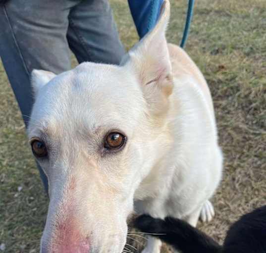 Photo of Jenny