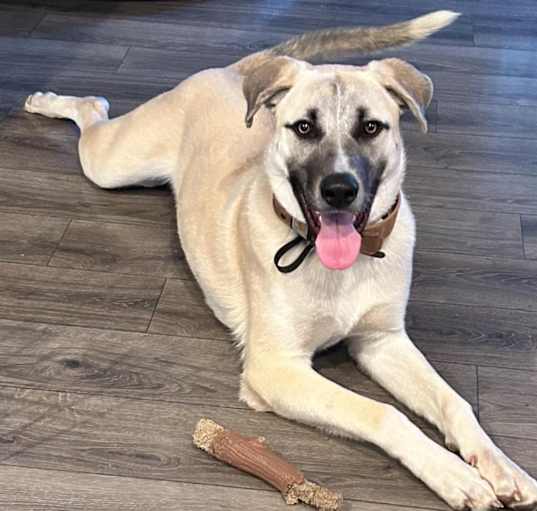 Photo of Oso