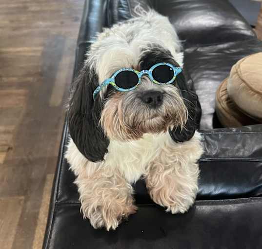 Photo of Charlie