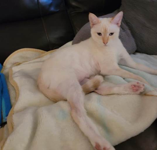 Photo of Yuki