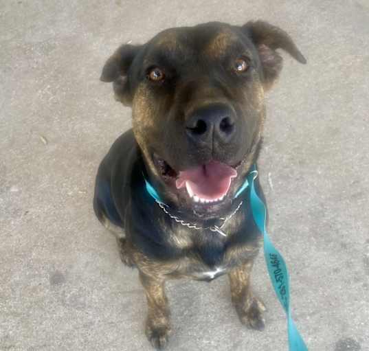 Photo of Tyson