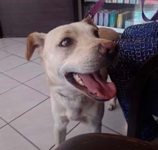 Photo of HUERO