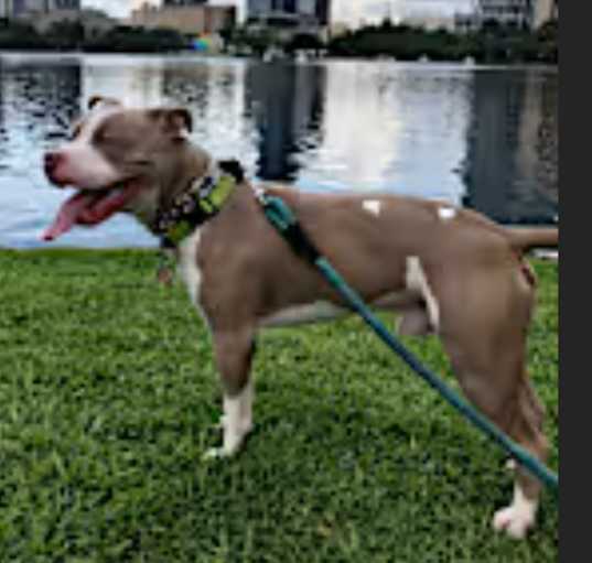 Photo of LUCKY