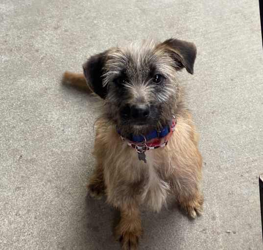 Photo of NALA