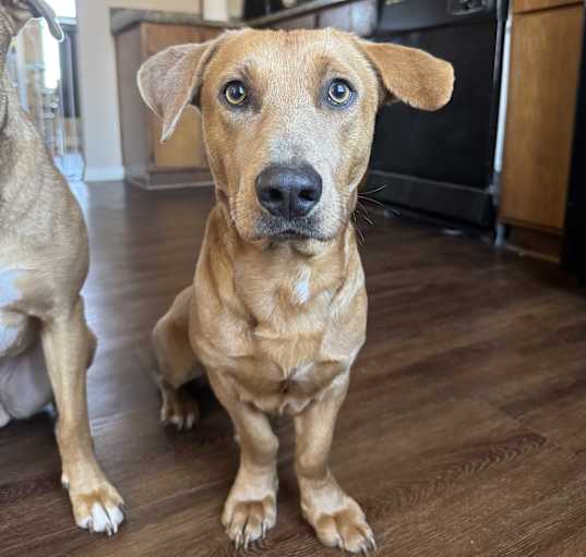 Photo of Tater