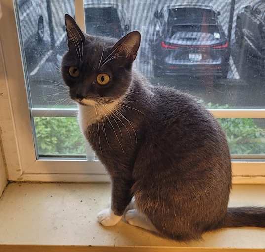 Photo of Lulu