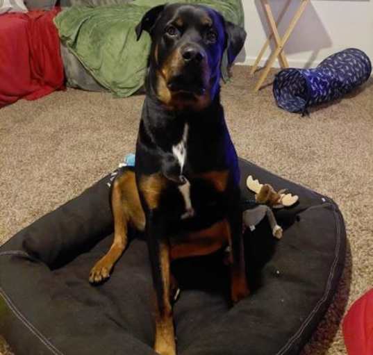 Photo of Phoenix