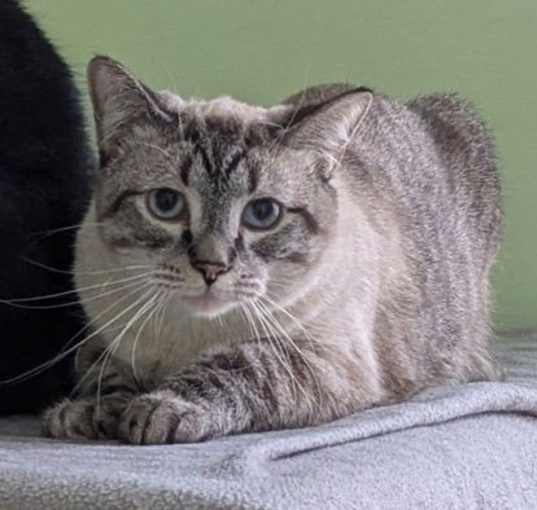 Photo of Tuna