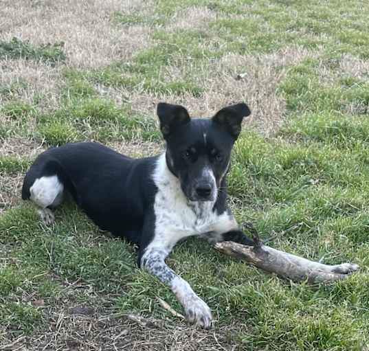Photo of Rocket
