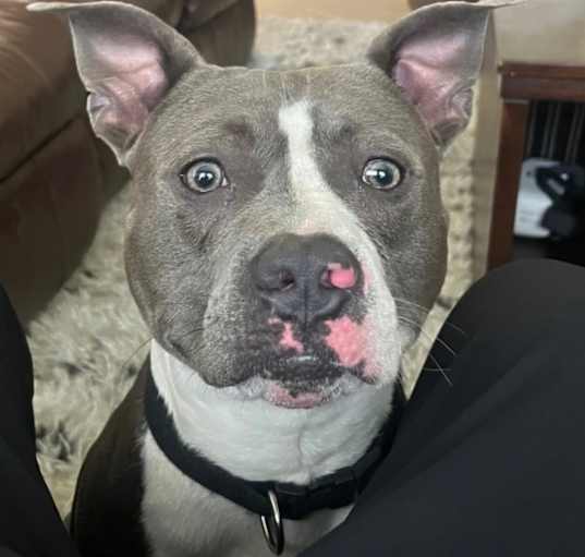 Photo of Tommy