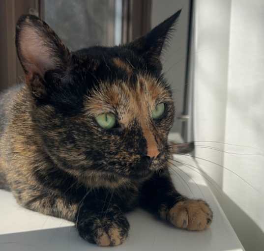 Photo of Eloise