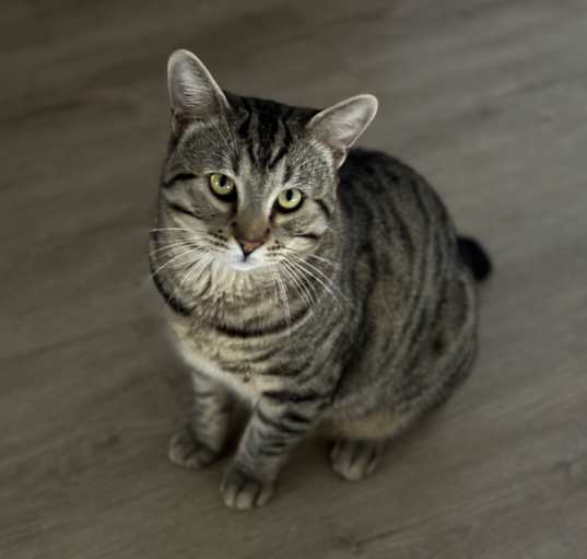 Photo of Kiki