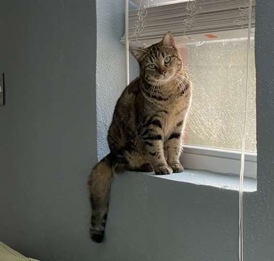 Photo of Luna