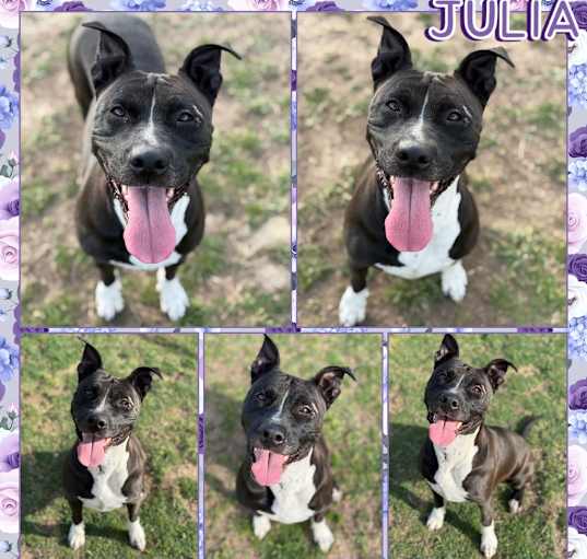 Photo of Julia
