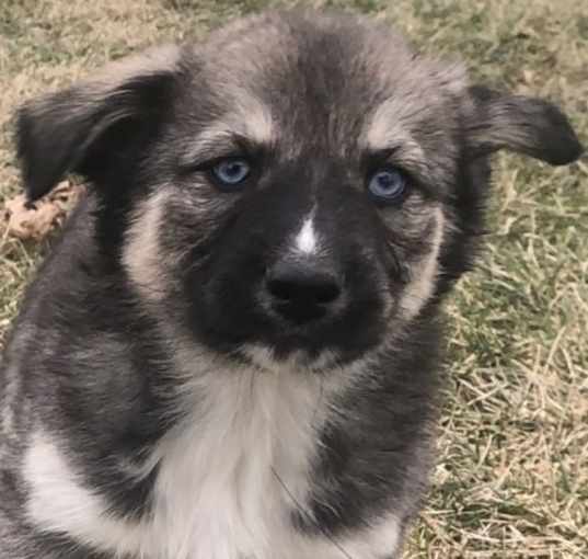 Photo of Dottie
