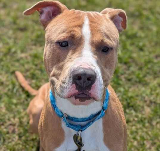 Photo of Duke