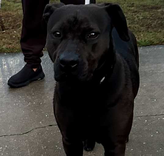 Photo of Molly