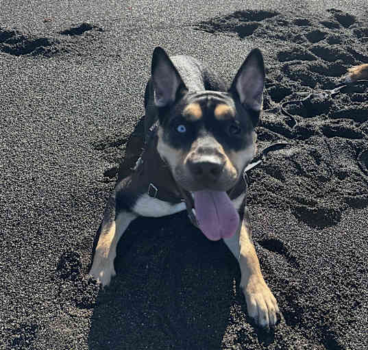 Photo of Skye