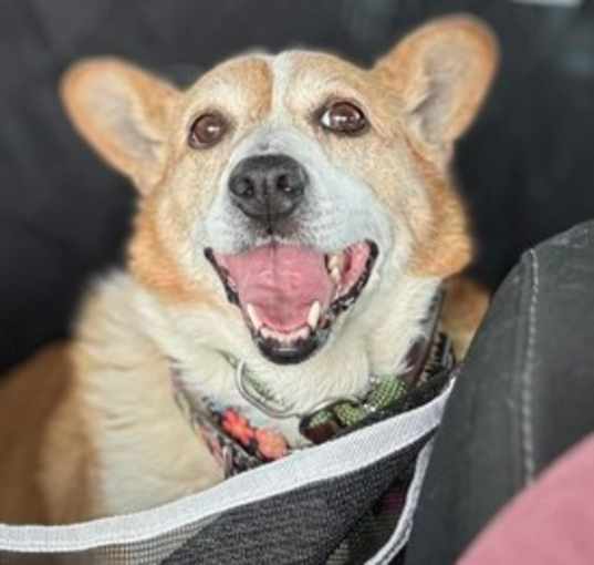 Photo of Lulu~