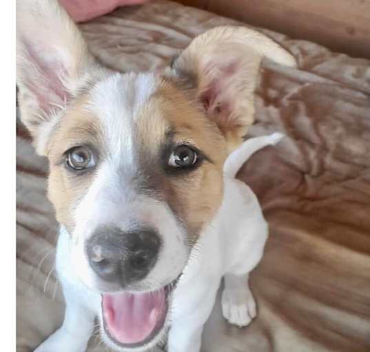 Photo of Aloha