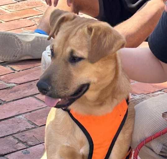 Photo of Bucky