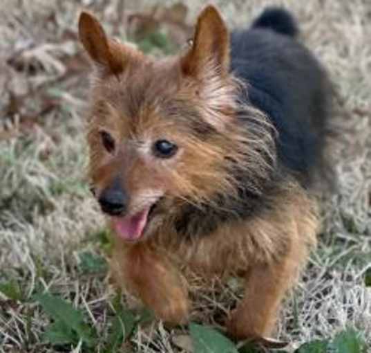Photo of Maverick
