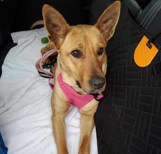 Photo of Lilly