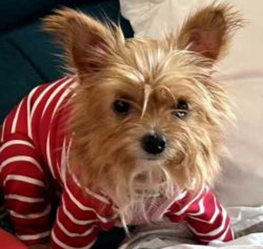 Photo of Mae Mae