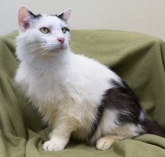 Photo of Sparkplug *Sponsored Seniors