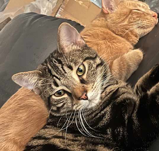 Photo of Gustavo