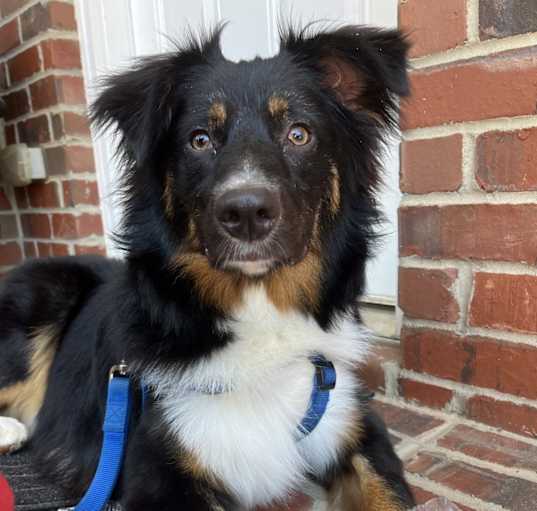 Photo of Jake