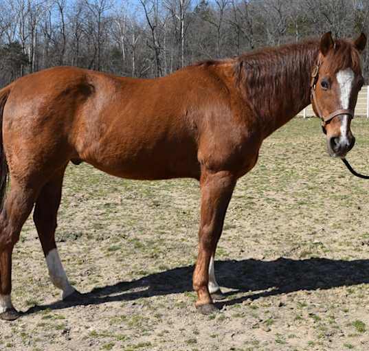 Photo of FIYERO