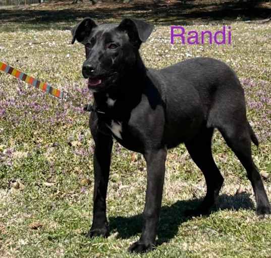 Photo of Randi