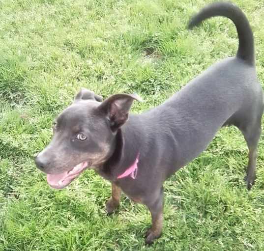 Photo of Nova