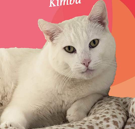 Photo of KIMBA