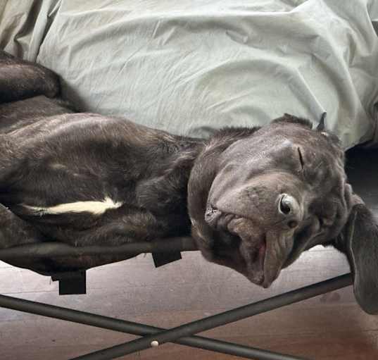 Photo of Mr. Biggs