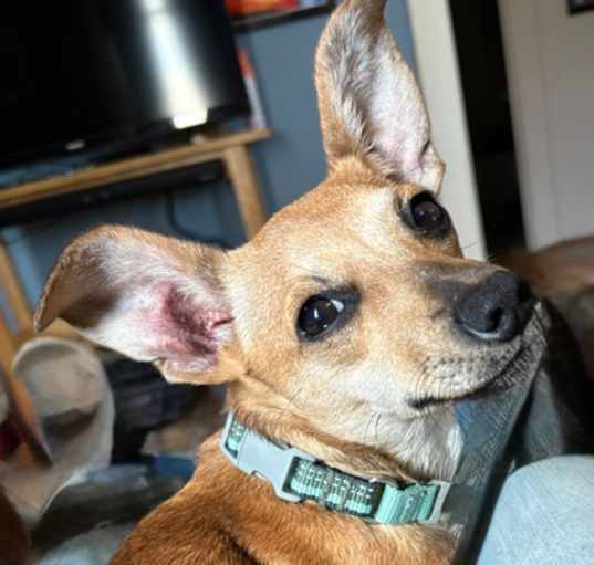 Photo of Sandy